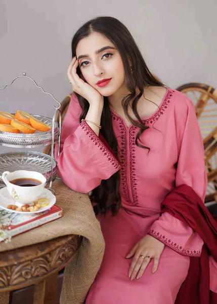 Elegant Embroidered Skin Color Dhanak Dress for Winter (DZ18586) main image 1