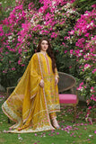 3 Piece Unstitched Heavy Embroidered Chickan Kari Dhanak Suit ( Four-sided Ready to Wear Embroidered Dhanak Shawl )
